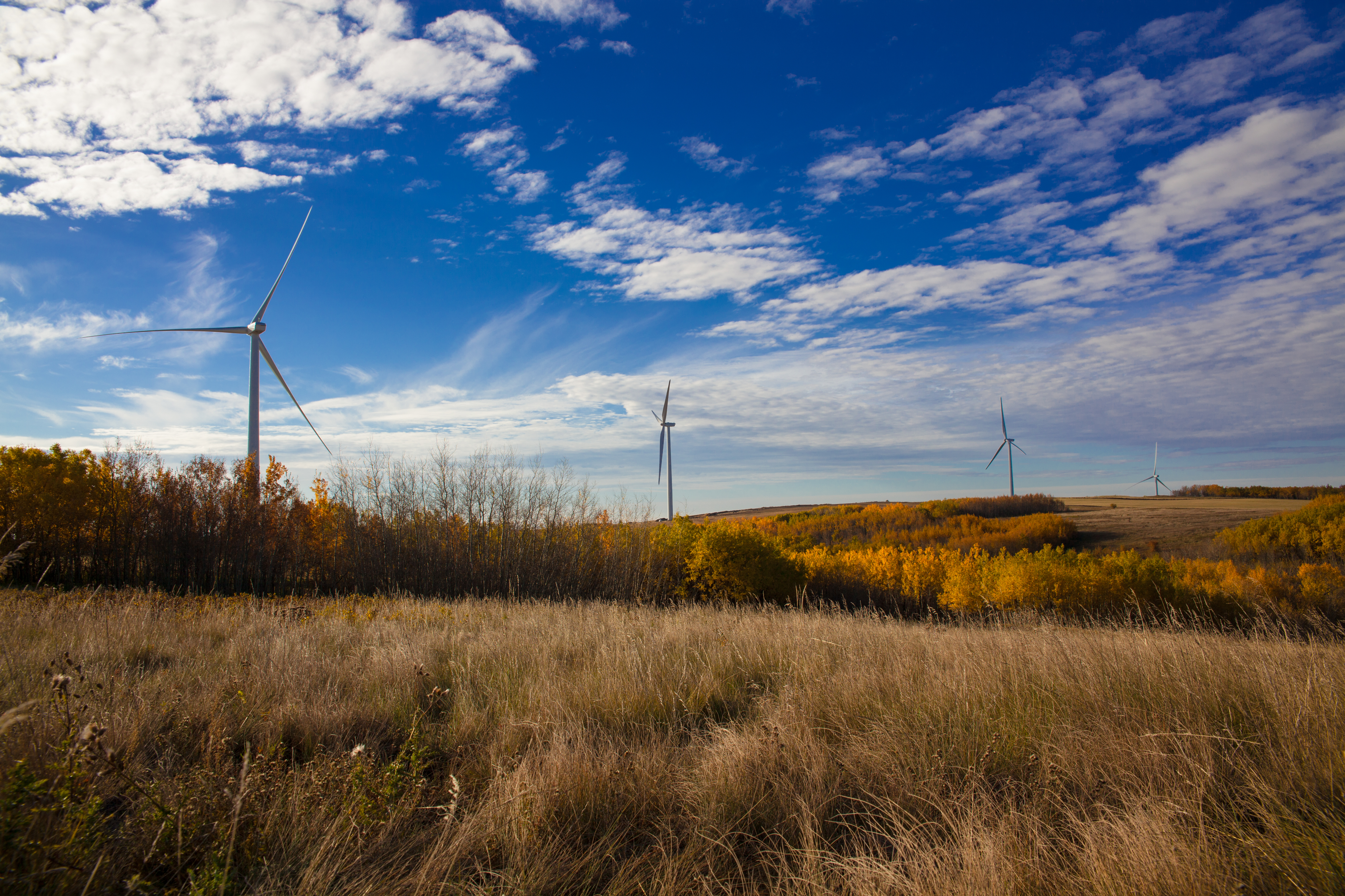 Bull Creek (Oct 15) - Turbines
